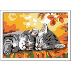 Pictura Pe Numere - Pisicute Somnoroase Ravensburger - 1